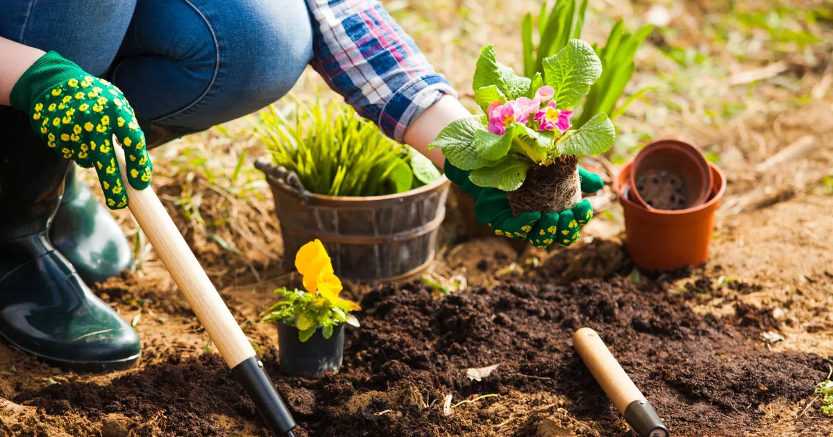 combien de temps entretienir jardin 200m2